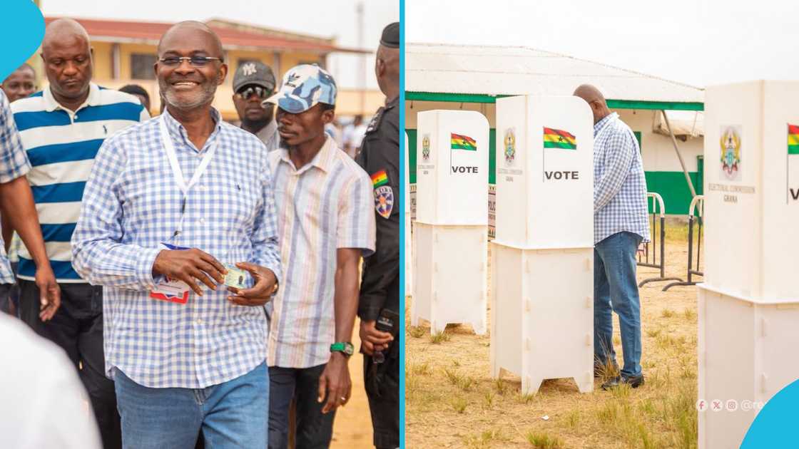 NPP Primary Live Updates: Main Opposition Party Selects Flagbearer for 2028 election