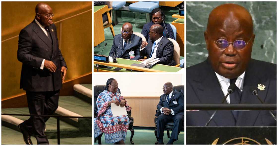 President Akufo-Addo has shared lovely photos from the UN General Assembly President Akufo-Addo has shared lovely photos from the UN General Assembly