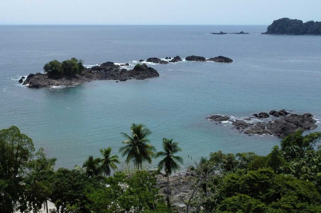 The remote area of the western Choco department boasts a bounty of plant species, while its clear and warm Pacific waters are a breeding ground for humpback whales and turtles The remote area of the western Choco department boasts a bounty of plant species, while its clear and warm Pacific waters are a breeding ground for humpback whales and turtles