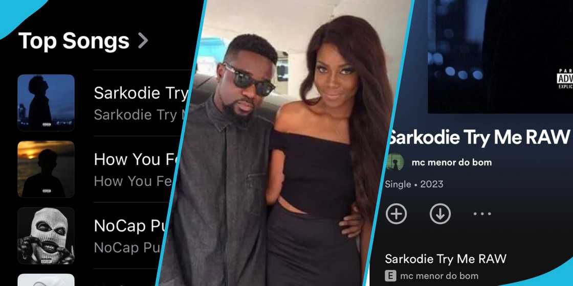 Sarkdoei's Try Me Sarkdoei's Try Me