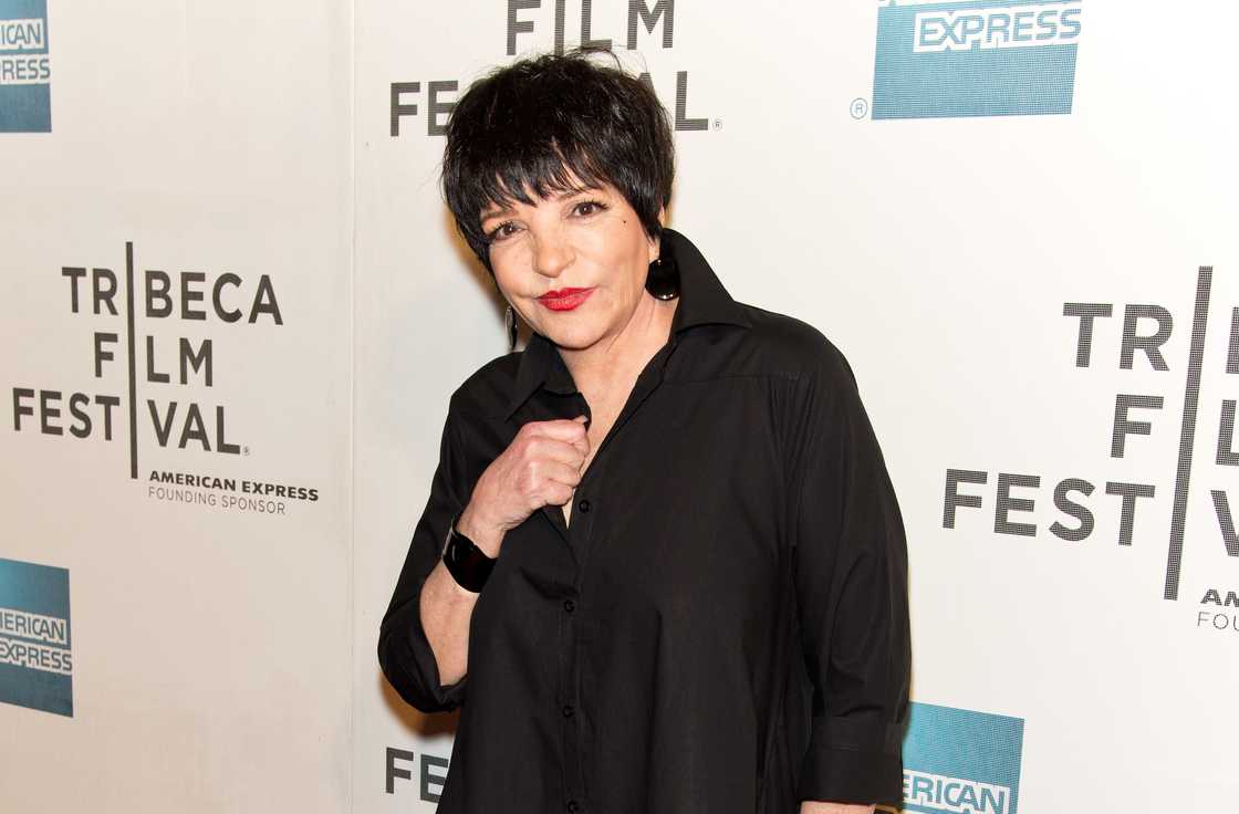 Liza Minnelli attends the "Mistaken for Strangers premiere during the opening night of the Tribeca Film Festival at BMCC Tribeca PAC in New York City Liza Minnelli attends the "Mistaken for Strangers premiere during the opening night of the Tribeca Film Festival at BMCC Tribeca PAC in New York City