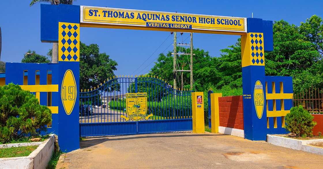 Triumphant entry: ManSyte, Aquinas, 8 other senior high schools in Ghana with the most beautiful entrances Triumphant entry: ManSyte, Aquinas, 8 other senior high schools in Ghana with the most beautiful entrances