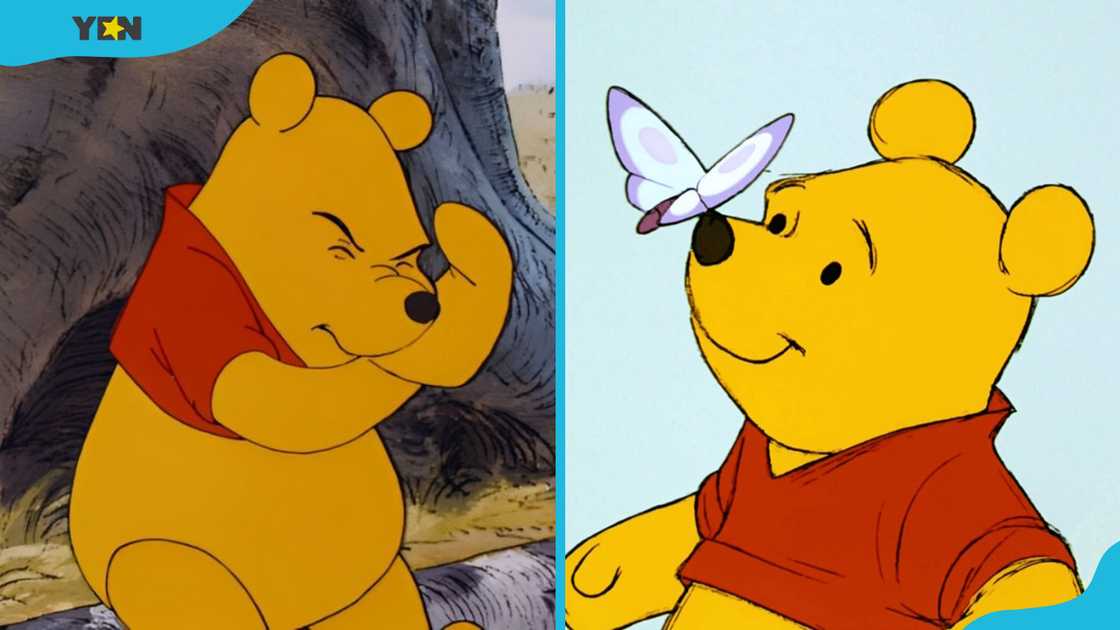 Winnie the Pooh