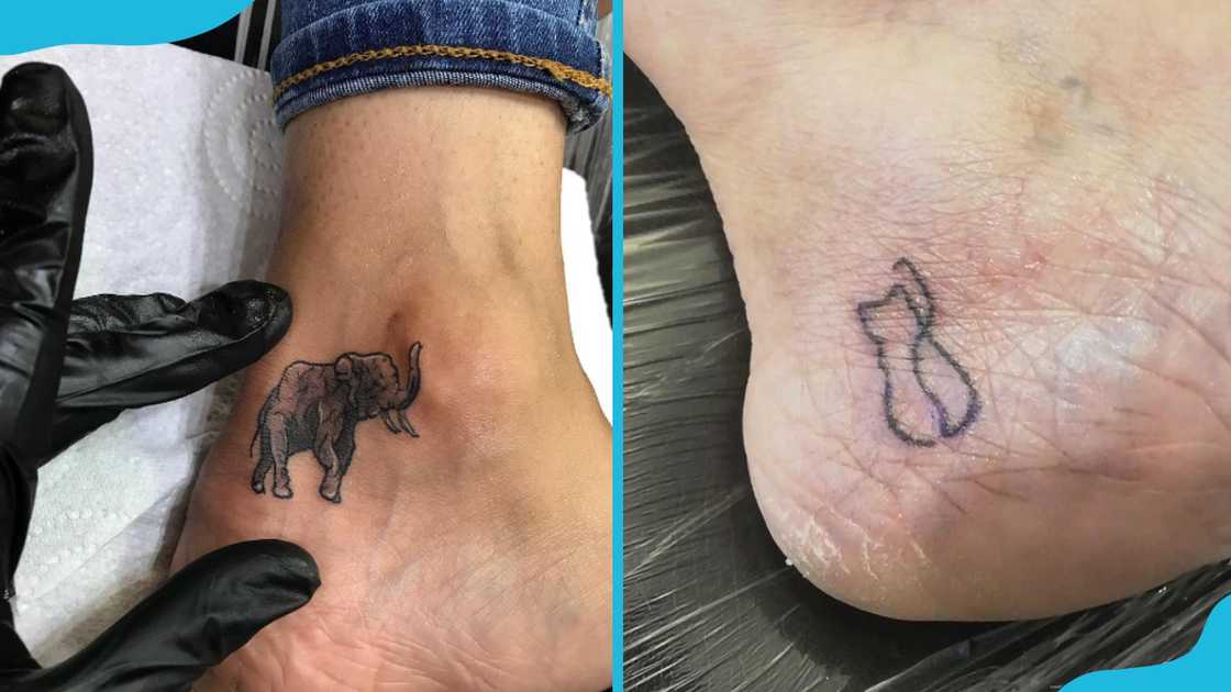 Minimalist animal designs Minimalist animal designs