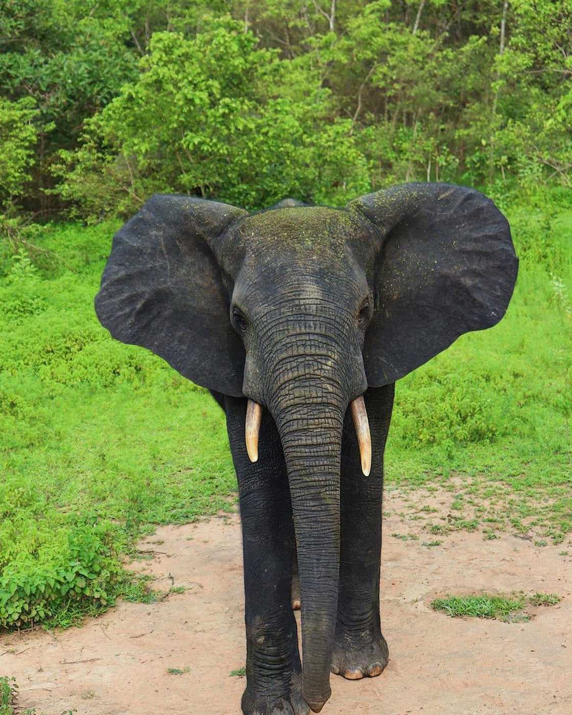 pictures of ghana pictures of ghana