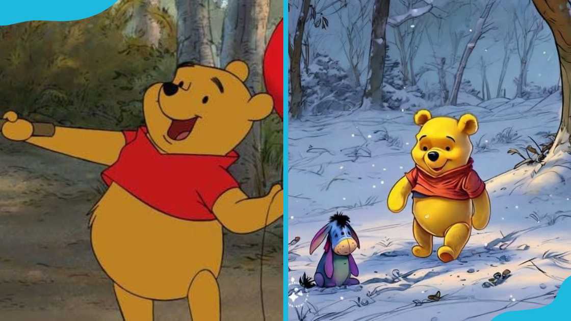 Winnie the Pooh Winnie the Pooh