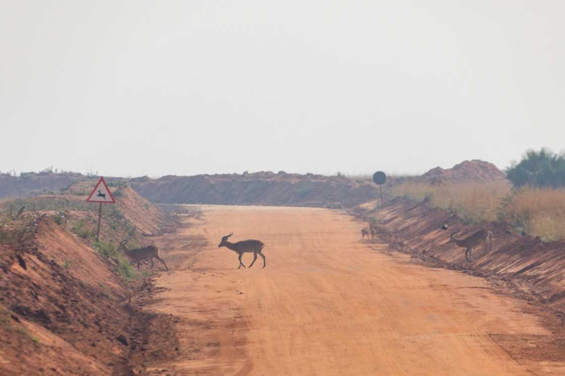 Road in the savannah: The Tilenga oil project aims to pump crude over 1,400 kilometers, from remote Uganda to the coast of Tanzania Road in the savannah: The Tilenga oil project aims to pump crude over 1,400 kilometers, from remote Uganda to the coast of Tanzania