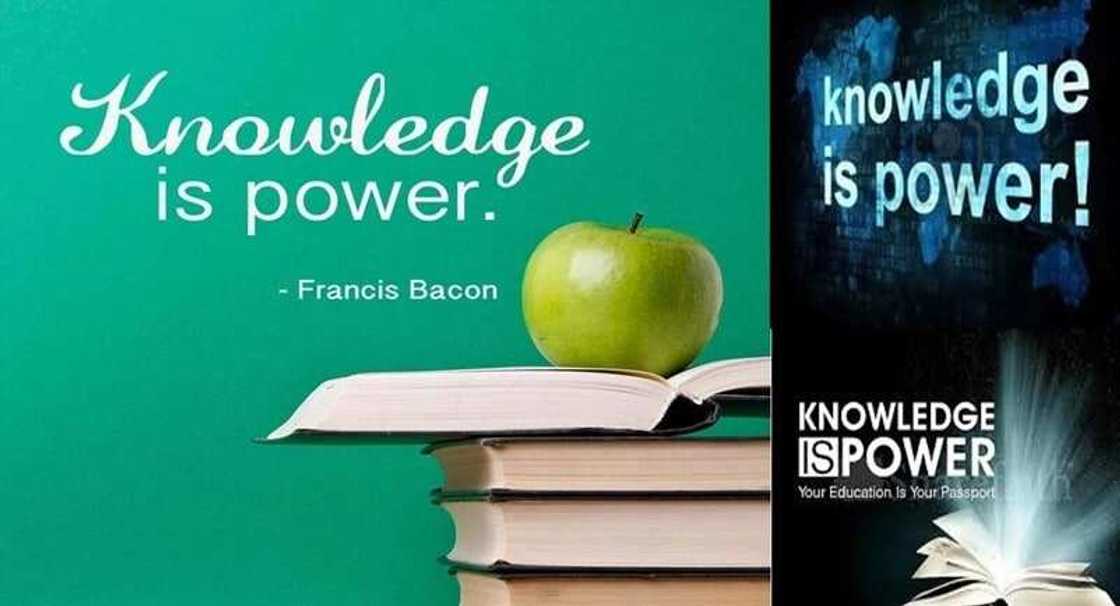 10 reasons why education is so important, facts about why education is important, importance of education for all 10 reasons why education is so important, facts about why education is important, importance of education for all