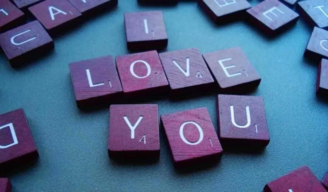 love sms text messages
best love text messages
good night love text messages
deep love text messages love sms text messages
best love text messages
good night love text messages
deep love text messages