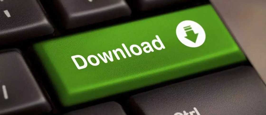 How to download torrent with IDM – The different methods