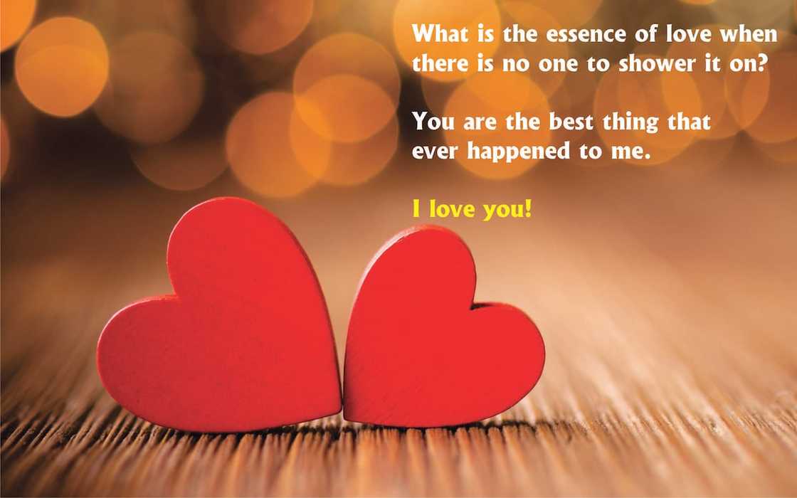 love wallpaper
romantic love images
beautiful pictures of love love wallpaper
romantic love images
beautiful pictures of love