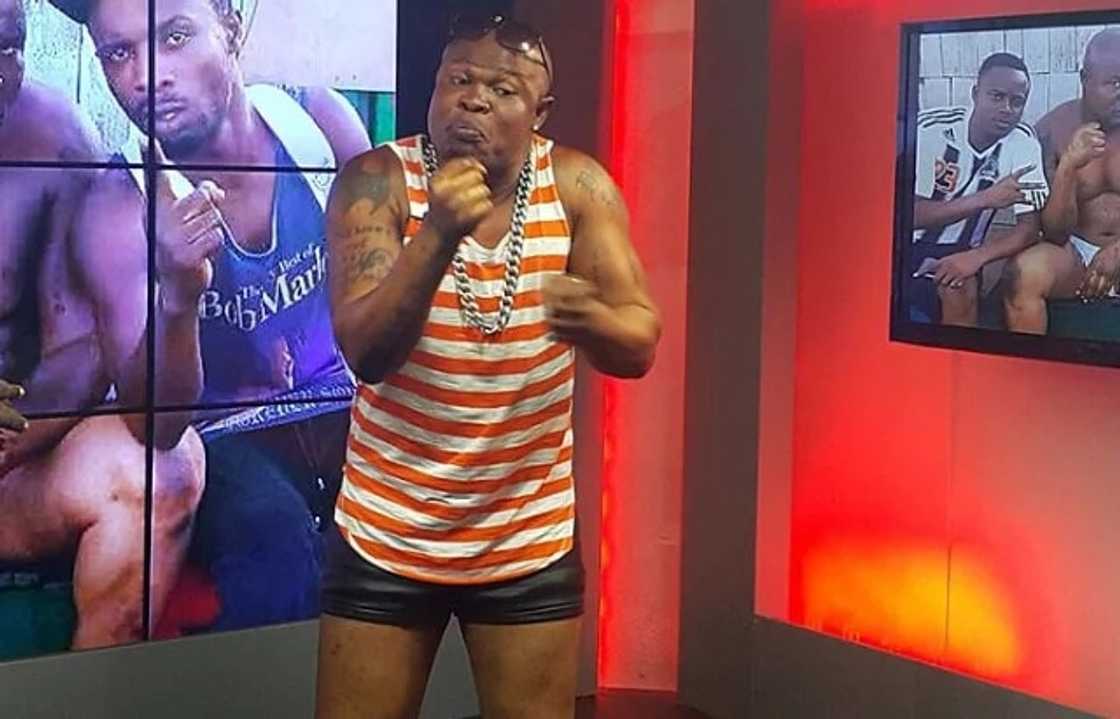 Here are the celebrities supporting Mahama, Akufo-Addo Here are the celebrities supporting Mahama, Akufo-Addo