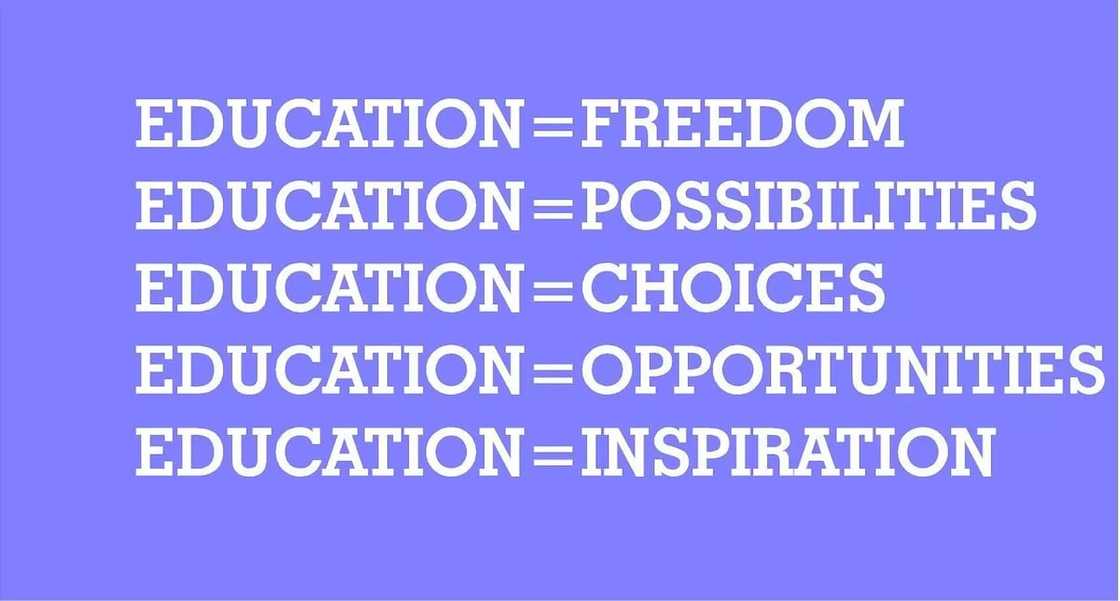 importance of basic education pdf, why is free education important, positive facts about education importance of basic education pdf, why is free education important, positive facts about education