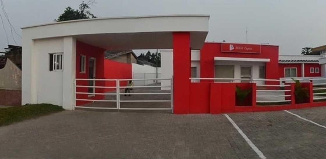 Beige Capital branches Beige Capital branches