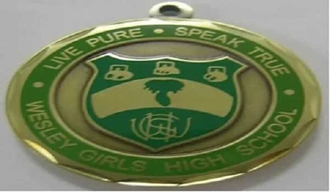 MPs argue over which senior high schools are the best in the country MPs argue over which senior high schools are the best in the country