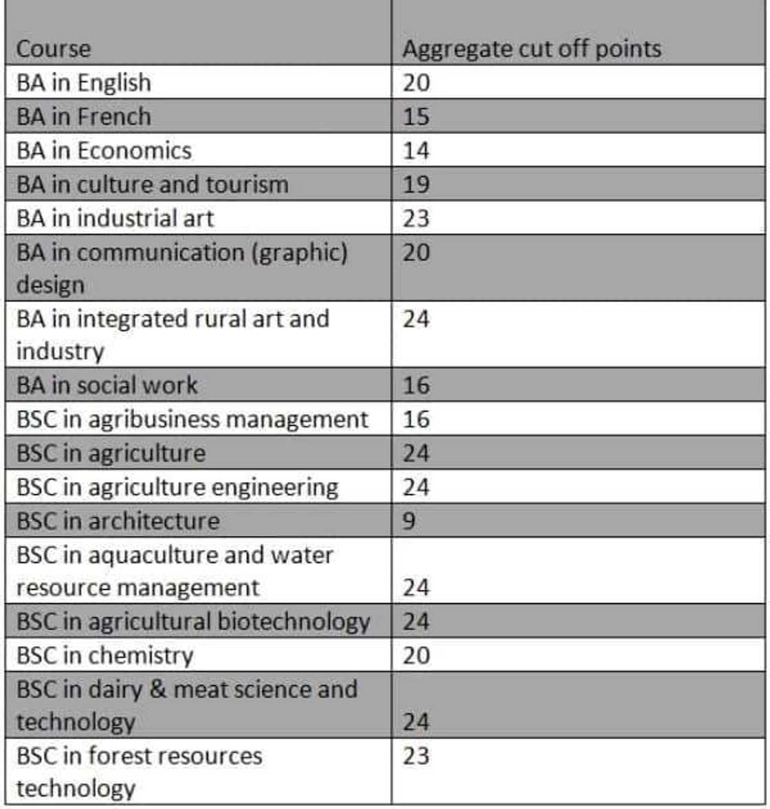 idl knust courses, knust idl application, knust idl online application, knust idl graduate programmes, knust idl undergraduate courses idl knust courses, knust idl application, knust idl online application, knust idl graduate programmes, knust idl undergraduate courses