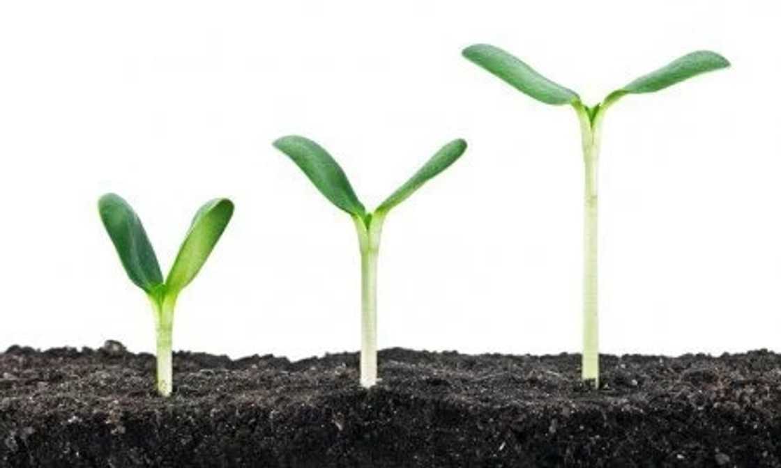 7 things men appreciate the most in a woman 7 things men appreciate the most in a woman