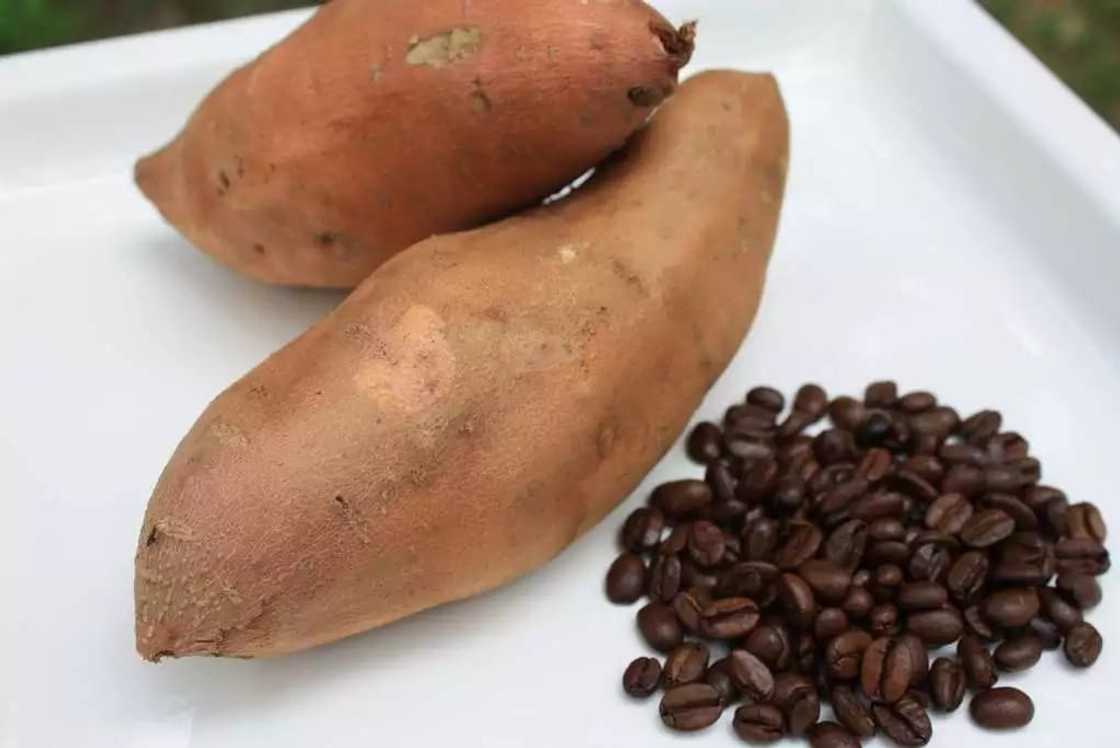 Energy giving foods
Vegetables that give you energy
Energy booster foods
How to increase stamina by food Energy giving foods
Vegetables that give you energy
Energy booster foods
How to increase stamina by food