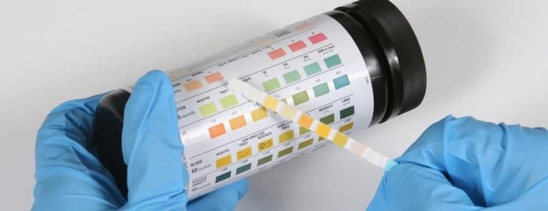 symptoms of uti in men
male uti symptoms
signs of uti in men
what causes uti in men symptoms of uti in men
male uti symptoms
signs of uti in men
what causes uti in men