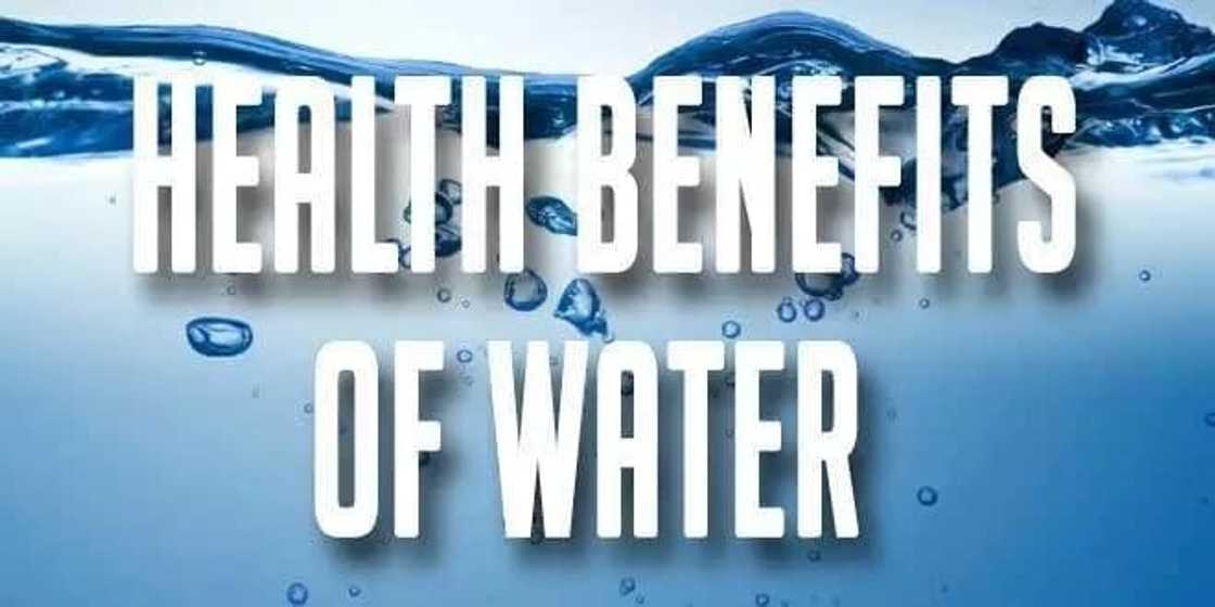 importance of drinking warm water
benefits of water
why do humans need water
does water lubricate joints