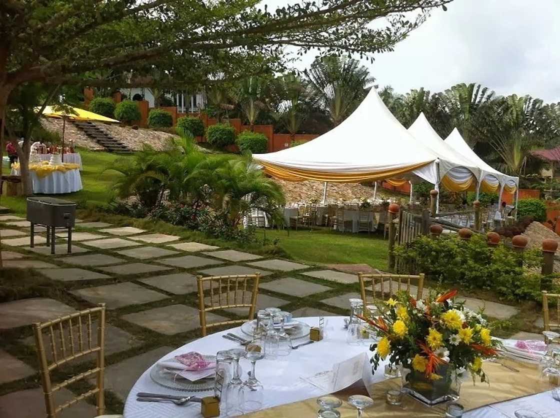 Is GHS 10, 000 enough to have a proper wedding? Find out now Is GHS 10, 000 enough to have a proper wedding? Find out now