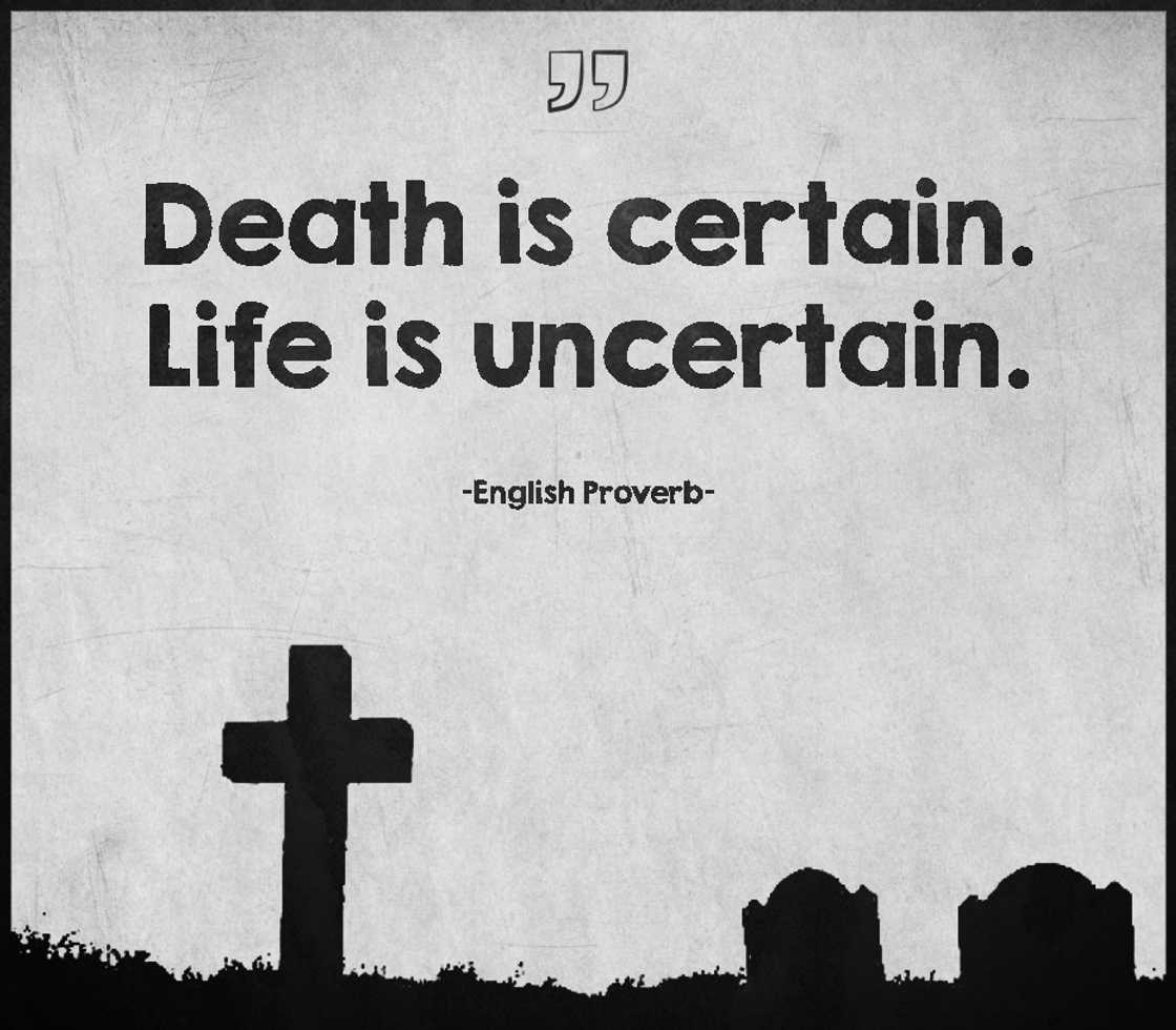 death quotes images
funny death quotes
life and death quotes