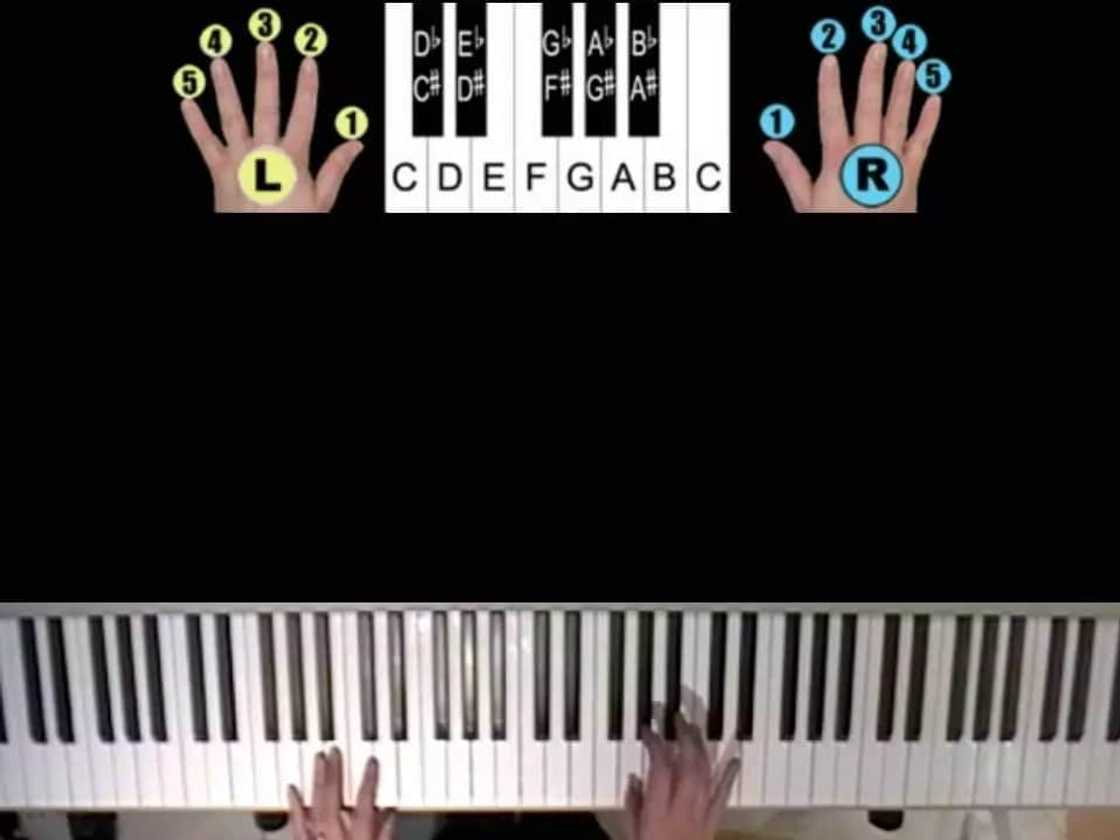how to play the keyboard for beginners, how to play the keyboard chords, how to play the keyboard step by step, how to play the piano keyboard for beginners how to play the keyboard for beginners, how to play the keyboard chords, how to play the keyboard step by step, how to play the piano keyboard for beginners