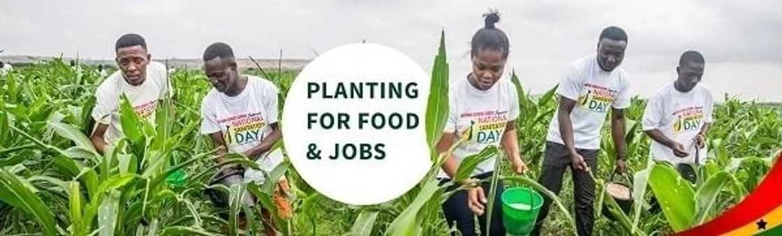 how to print nss appointment letter how to print nss appointment letter