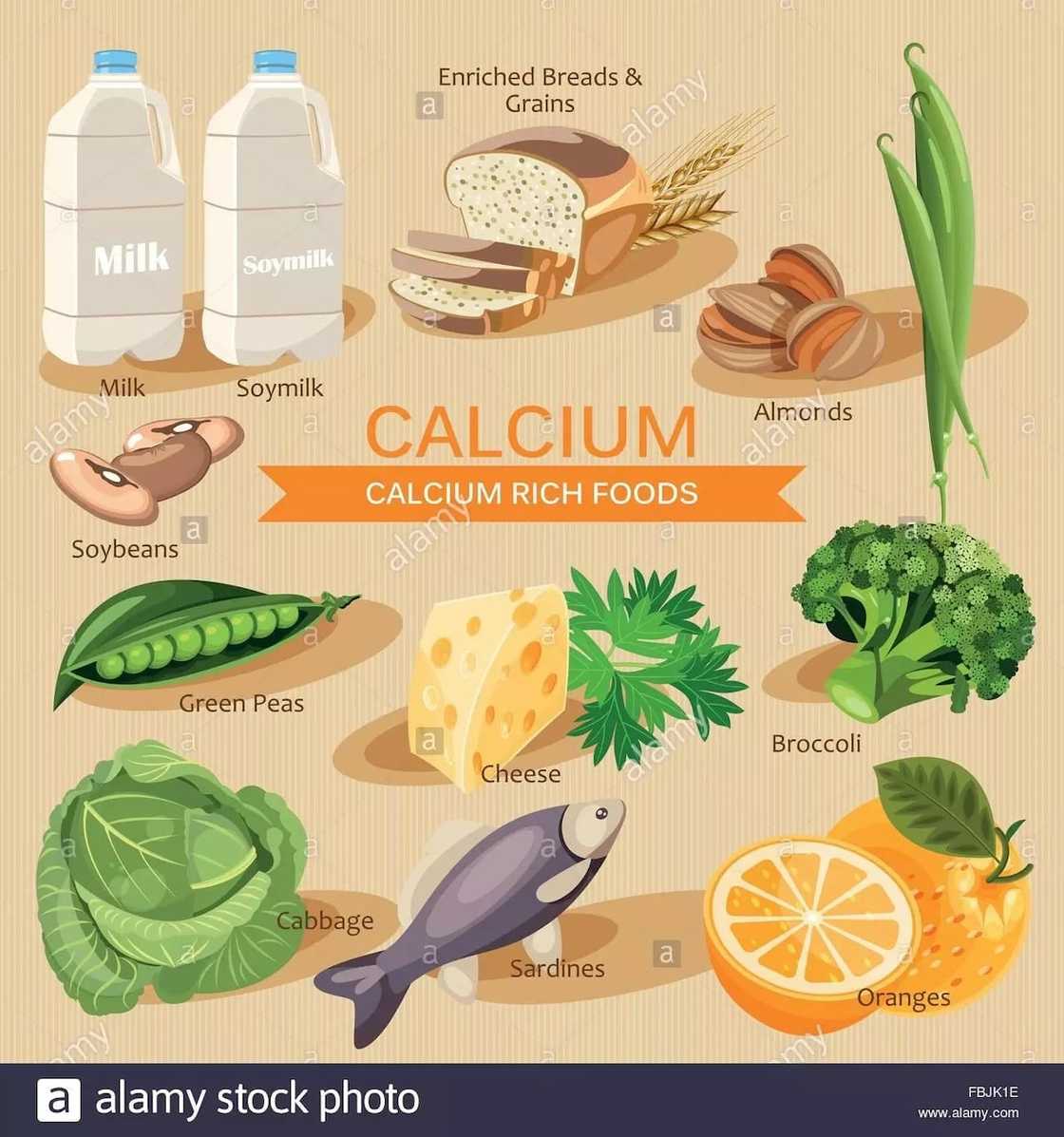 List of best food rich in calcium for healthy bones List of best food rich in calcium for healthy bones
