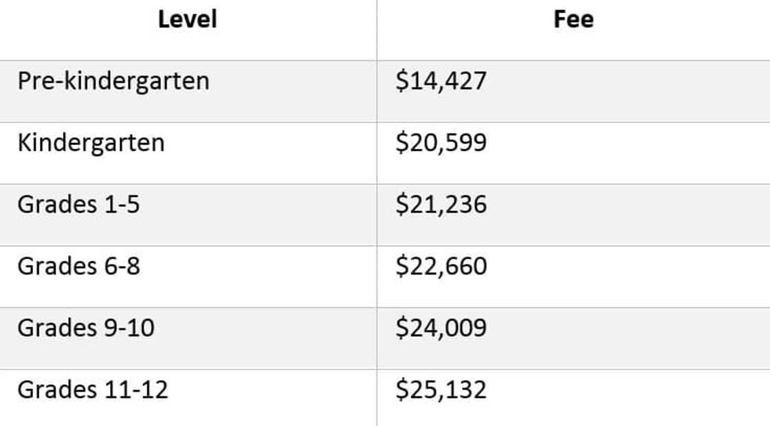 lincoln community school
lincoln community school ghana
lincoln community school fees lincoln community school
lincoln community school ghana
lincoln community school fees