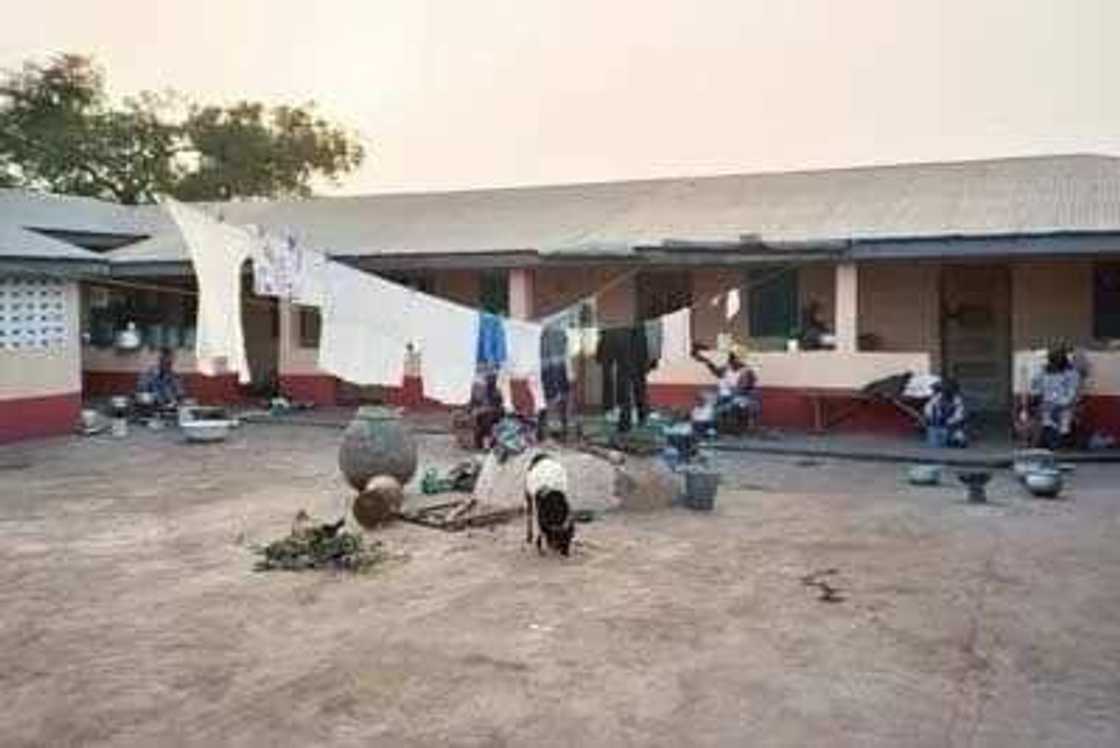 Landlords owe no tenant 3 months grace period before evicting them – Rent Control PRO Landlords owe no tenant 3 months grace period before evicting them – Rent Control PRO