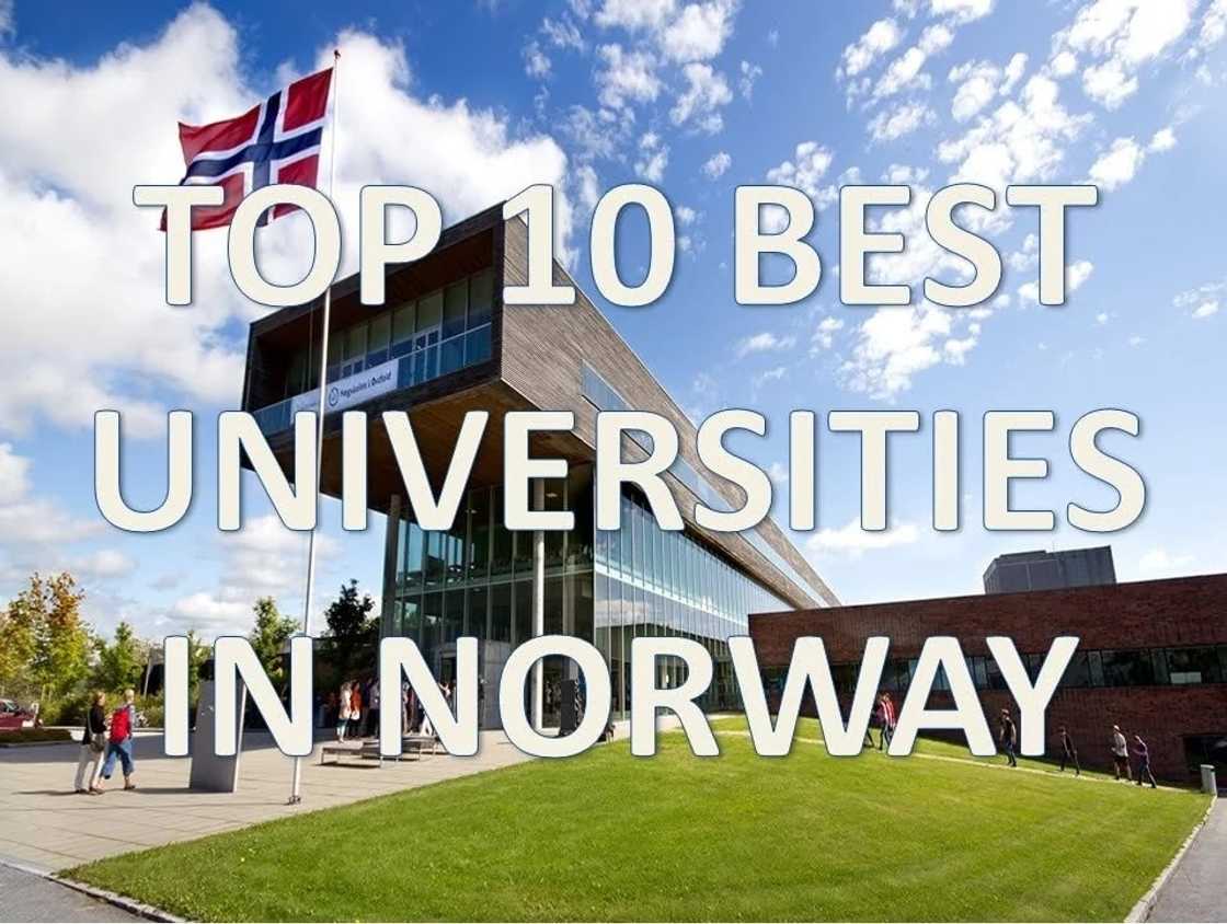 universities in norway for masters
list of universities in norway
free college in norway