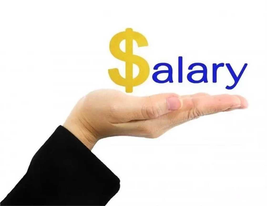 Single Spine Salary Structure levels for teachers Single Spine Salary Structure levels for teachers