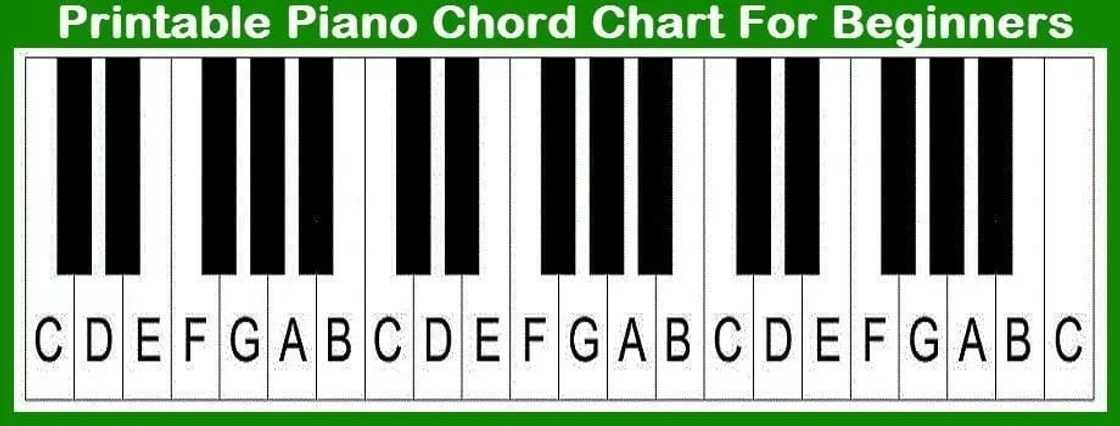 how to play the keyboard for beginners, how to play the keyboard chords, how to play the keyboard step by step, how to play the piano keyboard for beginners how to play the keyboard for beginners, how to play the keyboard chords, how to play the keyboard step by step, how to play the piano keyboard for beginners