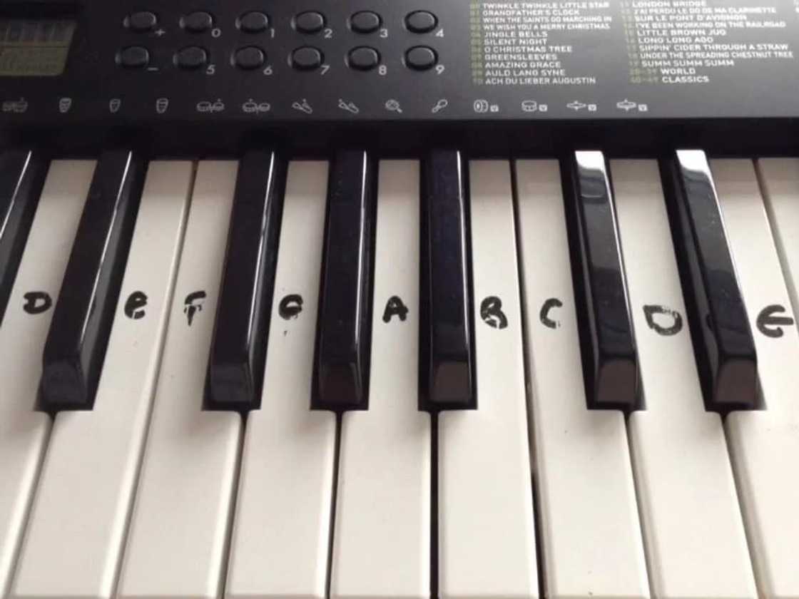 how to play the keyboard for beginners, how to play the keyboard chords, how to play the keyboard step by step, how to play the piano keyboard for beginners how to play the keyboard for beginners, how to play the keyboard chords, how to play the keyboard step by step, how to play the piano keyboard for beginners