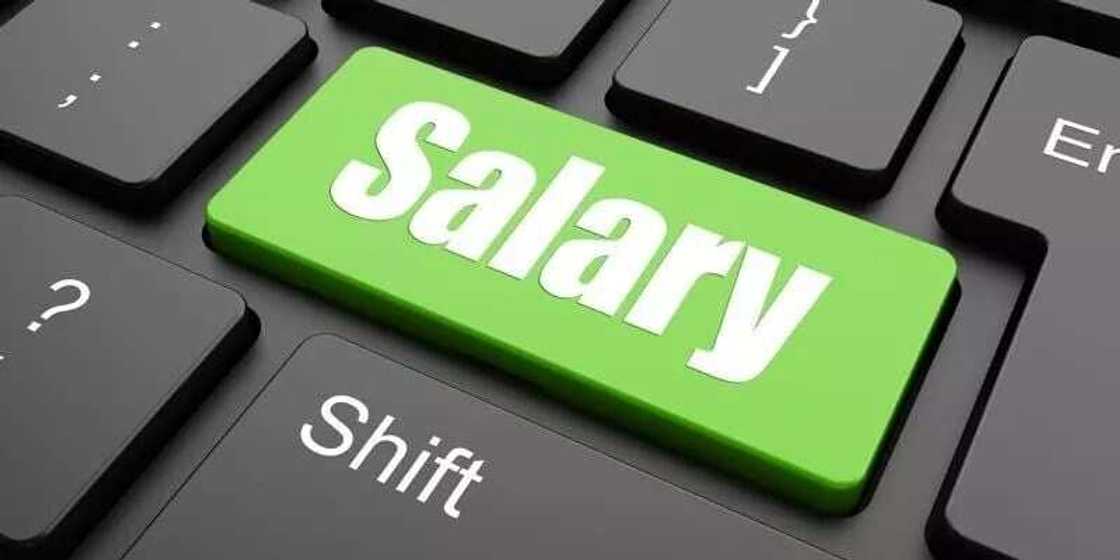 Single Spine Salary Structure levels for teachers Single Spine Salary Structure levels for teachers