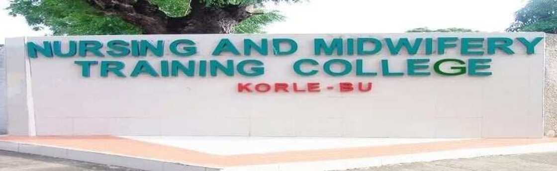 korle bu nursing training admission forms
korle bu nursing training college forms
korle bu nursing training forms 2018