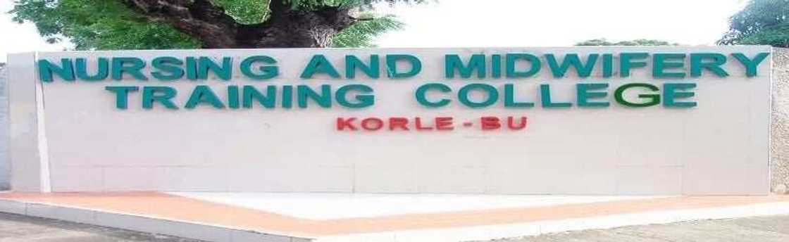 korle bu nursing training admission forms
korle bu nursing training college forms
korle bu nursing training forms 2018 korle bu nursing training admission forms
korle bu nursing training college forms
korle bu nursing training forms 2018