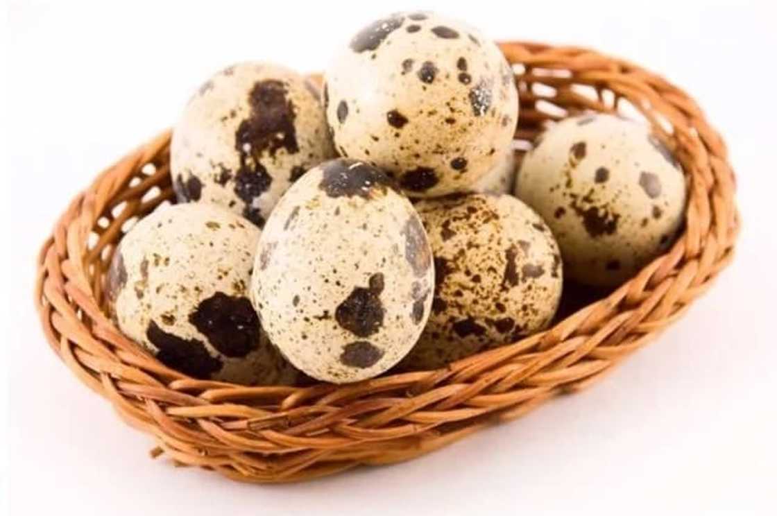 Raw quail Eggs Benefits for Adults