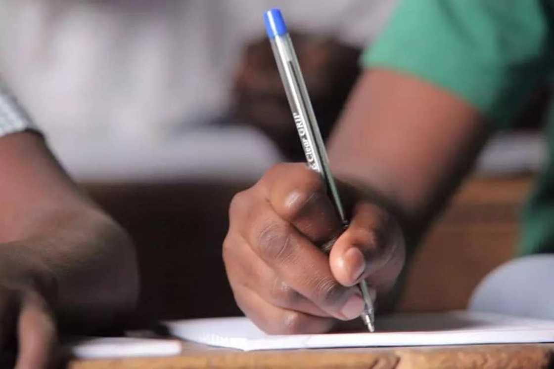 how to write a cover letter
cover letter format
how to write a cover letter for job application
cover letter how to write a cover letter
cover letter format
how to write a cover letter for job application
cover letter