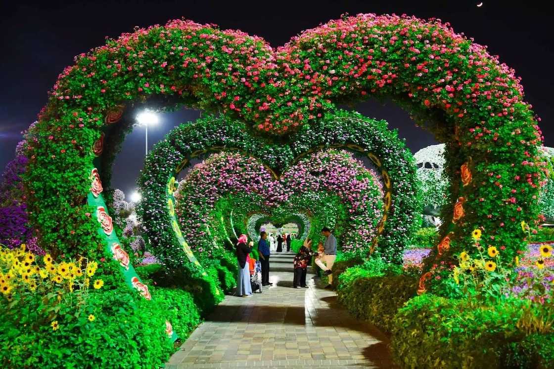 pictures that show love
high definition love pictures
perfect love image quotes pictures that show love
high definition love pictures
perfect love image quotes