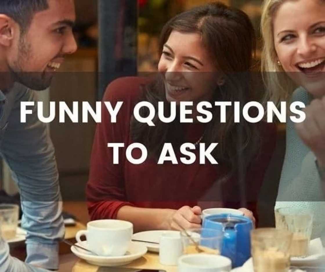 funny questions to ask a girl