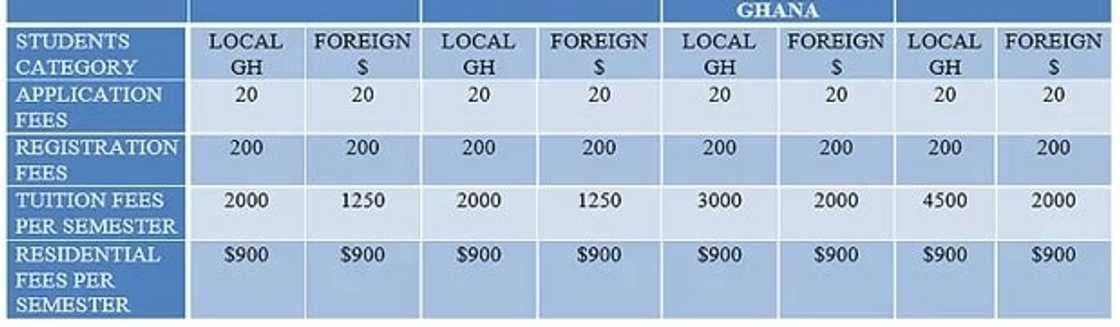 Kings fee structure