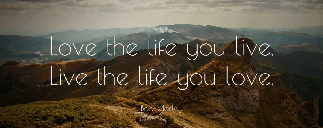 bob marley quotes about money
bob marley quotes on love
bob marley quotes he's not perfect bob marley quotes about money
bob marley quotes on love
bob marley quotes he's not perfect