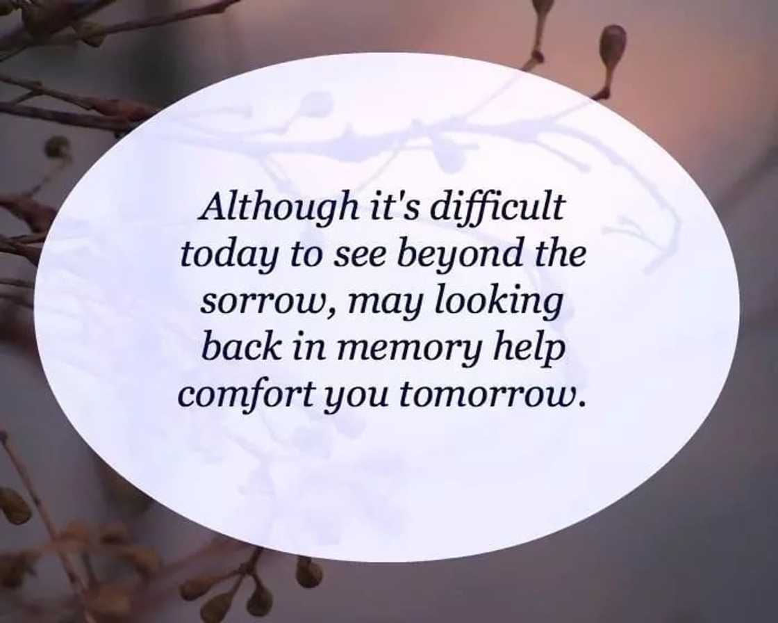 what to reply on condolence messages, quick condolence messages, deepest condolence messages example what to reply on condolence messages, quick condolence messages, deepest condolence messages example