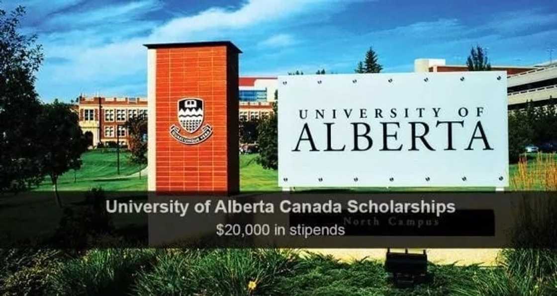 full scholarships in canada
free scholarships in canada
universities that offer full scholarships to international students
international scholarships full scholarships in canada
free scholarships in canada
universities that offer full scholarships to international students
international scholarships