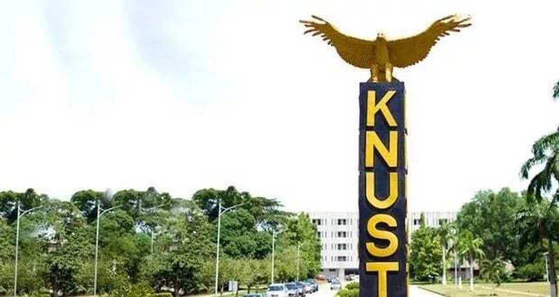 Kwame Nkrumah University of Science and Technology courses