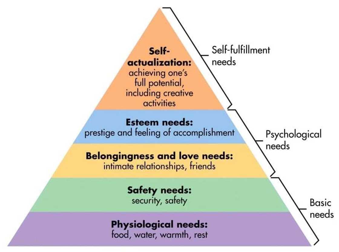 theories of motivation
compare and contrast maslow and herzberg theories of motivation
theories of motivation in psychology
theories of motivation in education