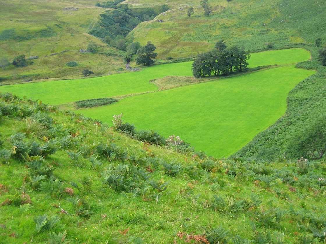 land tenure system in ghana, types of land tenure system in ghana, customary land tenure system in ghana land tenure system in ghana, types of land tenure system in ghana, customary land tenure system in ghana