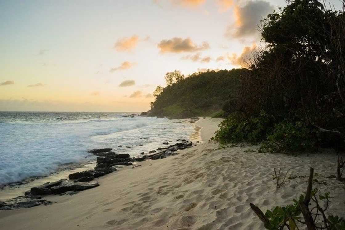 interesting questions to ask a girl over text interesting questions to ask a girl over text